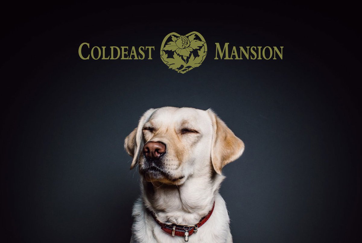 We are pet friendly! You and your fury friends can stay warm with us. Book Now!

coldeastmansion.com
#Southampton #holiday #petfriendly #Love #Style