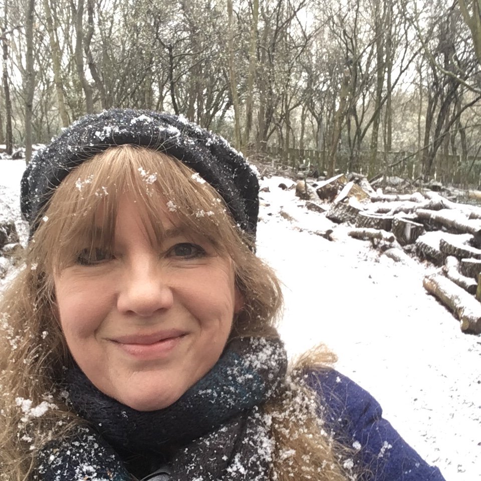 KarenMcCombie's tweet image. Snow + more snow = this author not making it to @BeaumontLeysSch for #WorldBookDay today, sadly! Boo... But will rearrange and see you soon in lovely Leicester... #travelhassle #authorfail