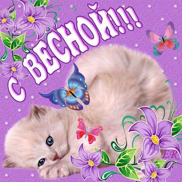 � ������ ���� ����� �������� � ��������� ��������, ������� �������� ��������