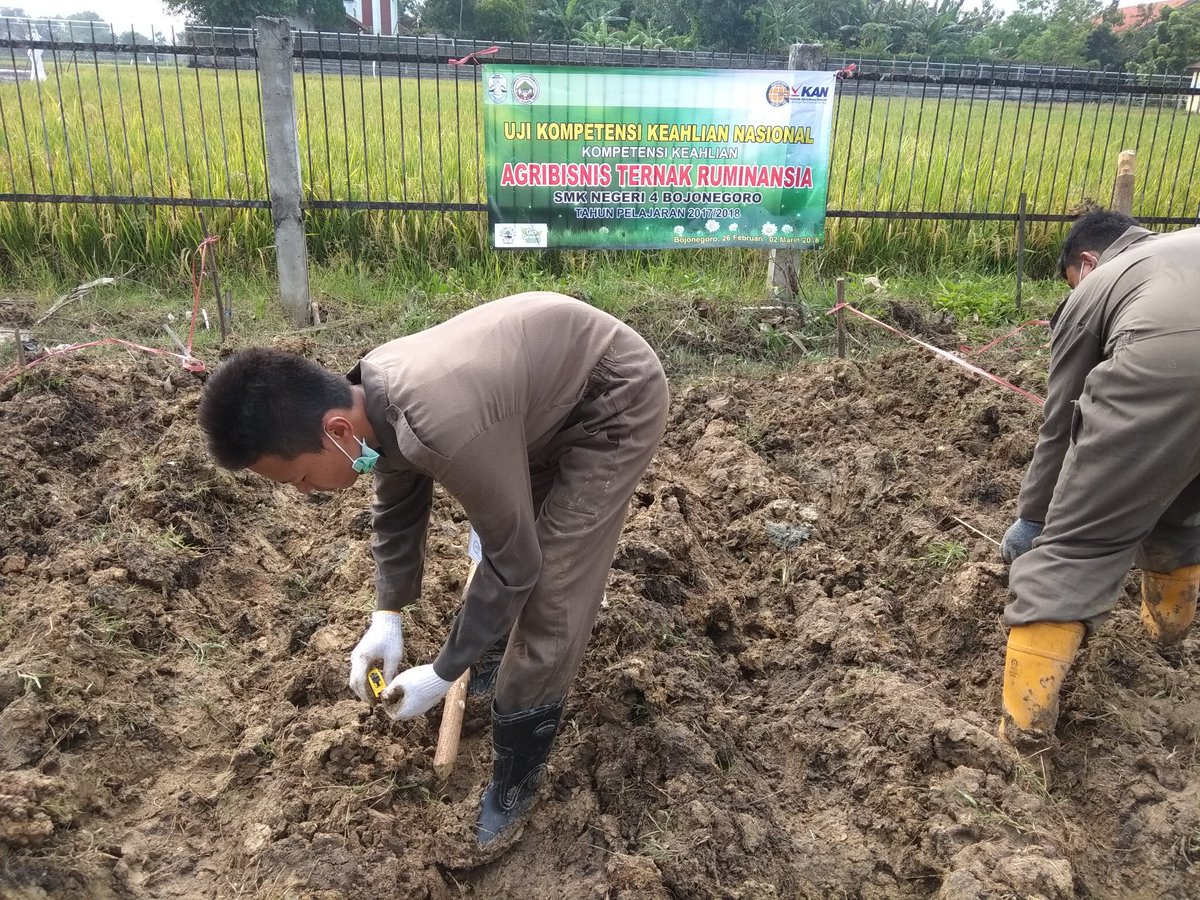 Pengukuran jarak tanam sesuai ketentuan, 60x30 cm 👍#Day4 #Ukk #SMKN4BJN