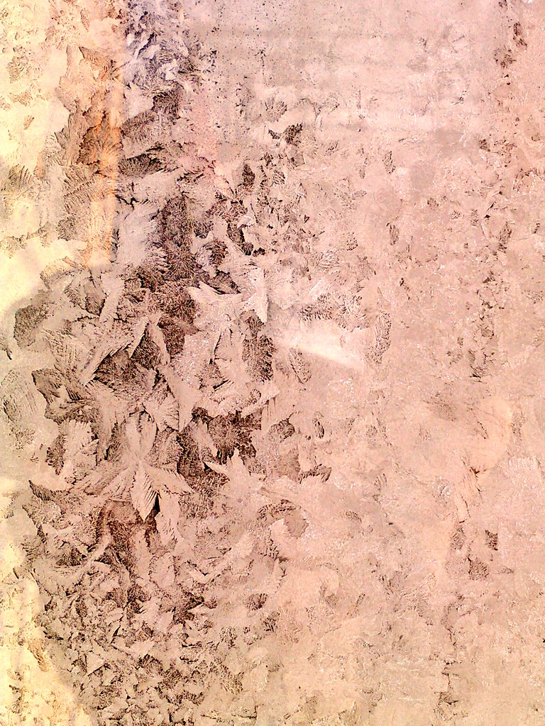 vasy13ionela's tweet photo. #ice , #iceflowers , #frostwork , #window , #jackfrost , #winter ✴✴✴ https://t.co/yQMYFeRPGy