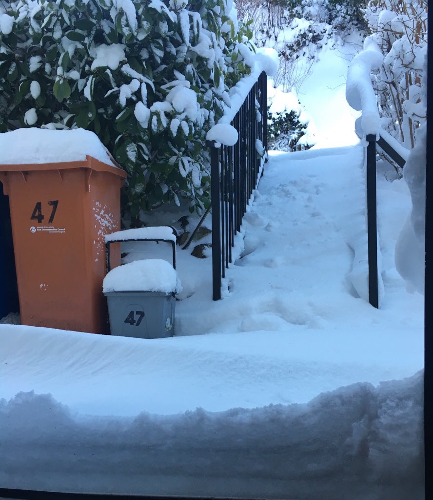 mamabear_1287's tweet photo. This is the most snow I’ve ever seen!! https://t.co/fjSF4qKbiD