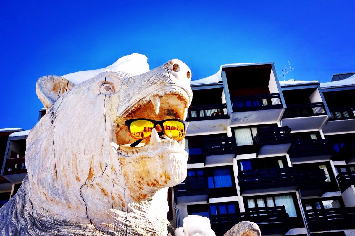bebreikaut's tweet photo. Once you become fearless, life become limitless 🦁😎#breikaut #sunglasses #breikautsunglasses #lion #fearless #limitless https://t.co/Su5BLBSndk