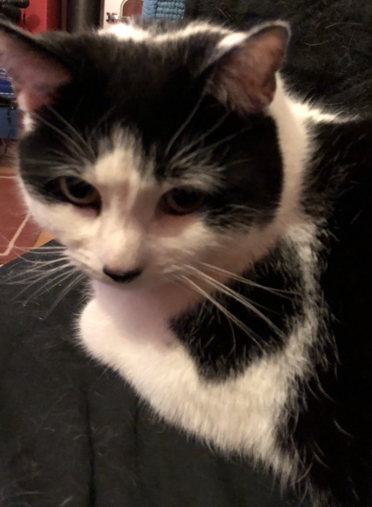 Whiskas Uk On Twitter Whiskas 1 Cat Pouches Creamy Soup Poultry