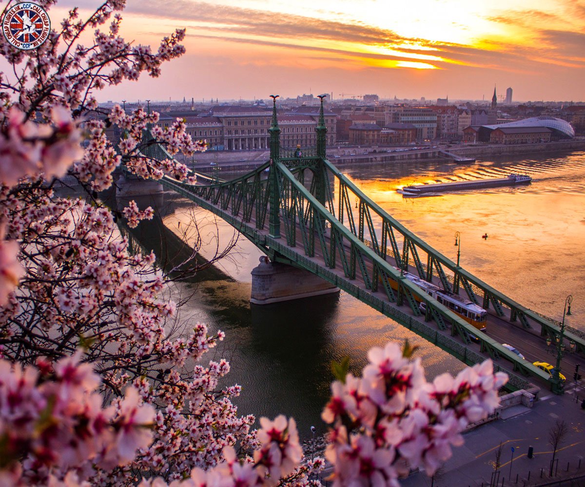 CallCheapFlight's tweet photo. Spring over Budapest

☎ Contact us: 0203 515 0803
💻 https://t.co/3HPeZfXby1

#europe #hungary #budapest #amazing #amazing #mostvisited #callcheapflights #flightstobudapest #cheapflights #cheapflightstobudapest #travelagentsinuk https://t.co/UtivsPDAp4
