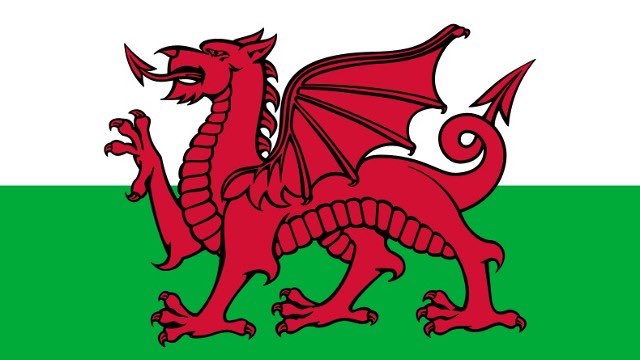 welshbean's tweet image. Dydd Gŵyl Dewi Hapus - Cymru am Bith
