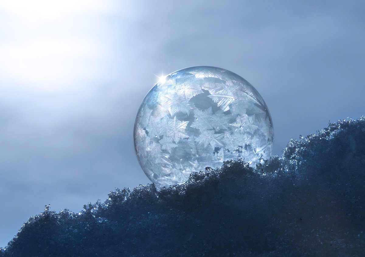 Laasmai's tweet photo. Ziepju burbuļi ziemā citādāk rādās...
#frozensoapbubbles #soapbubble https://t.co/KWb391cWBF
