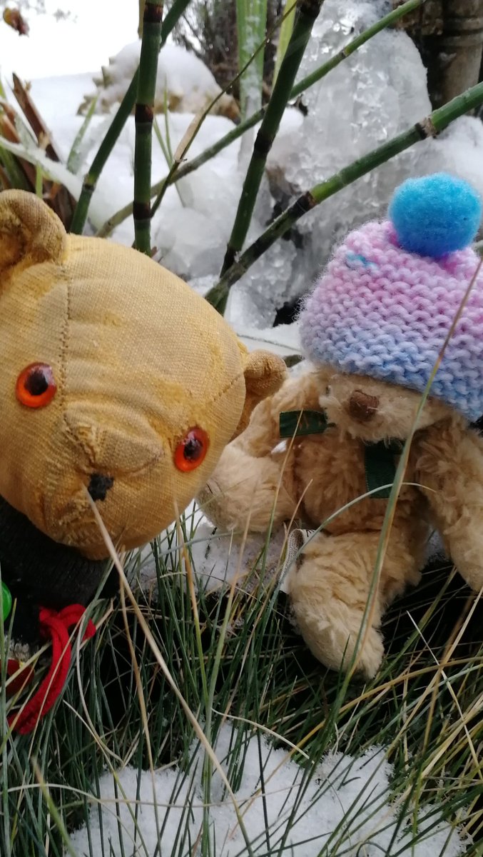 Fluff and me went outside to build a snowted, but it was too cold, so we just took a selfie and came back inside. Now off to #FurryTails for a hearty (second) breakfast once we've warmed up!