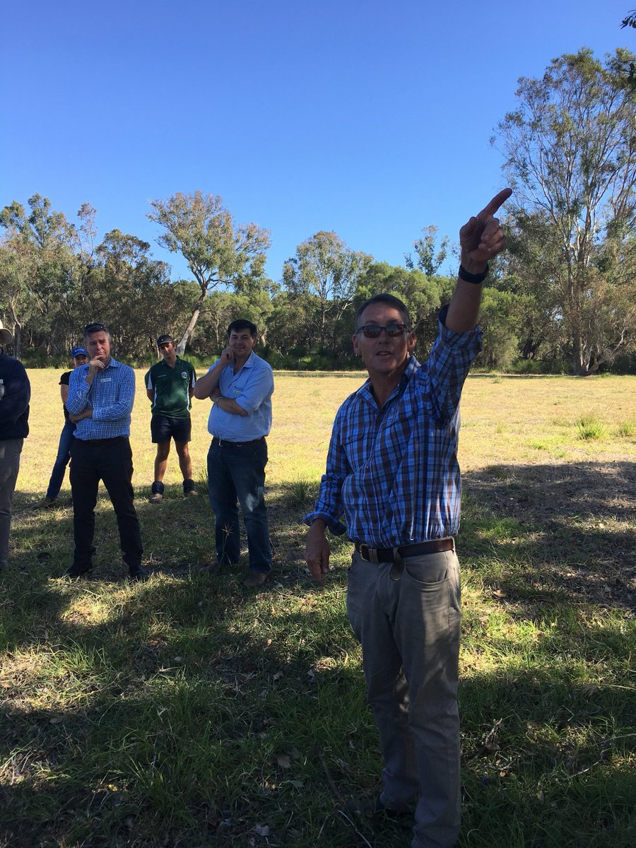 Wheatbeltnrm's tweet photo. Regenerative farming in #Gingin with David & Sara Roe – Benalong cattle. #Biodiversity, #perennialpastures. 18% of the property fenced bushland with wetlands. #regenerativeagriculture day! @NRM_WA @DPIRD_WA https://t.co/94flPJzA0p