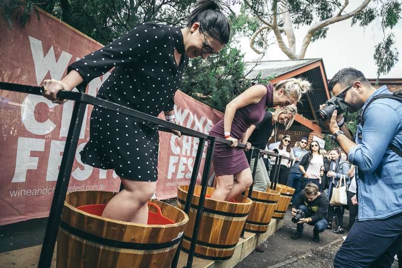 WhatsOnMelb's tweet photo. The Wine and Cheese Fest will delight with more than 30 exhibitors showcasing quality products: https://t.co/fIZSQPxMJk @MeatMarketMelb https://t.co/WH6eXigdTC
