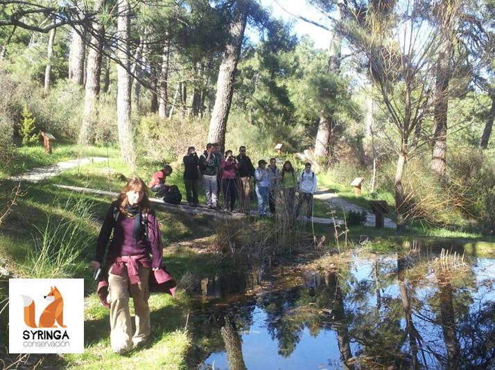 Las charcas, tan importantes, como interesantes es descubrir a sus pobladores.. ¿Quieres saber más sobre anfibios? 🐸Vente al #cursoeducadorambiental !

¿Alguien reconoce en qué charca estamos?? (Sierra madrileña) #syringaformación