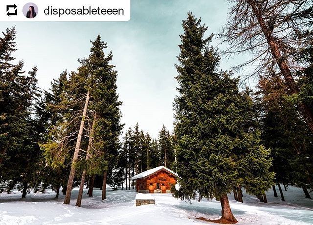 TorgnonTurismo's tweet photo. https://t.co/wCAIiDDimM https://t.co/eEebQT7nNo