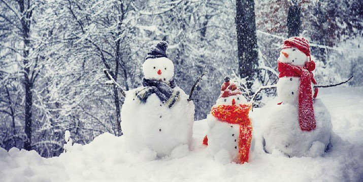 McSharrys Chemists tweet media