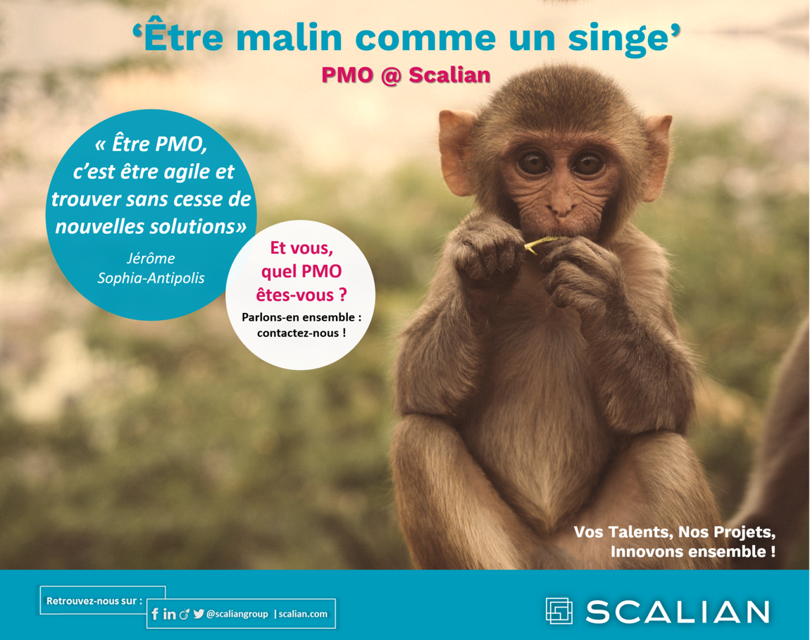 ScalianGroup's tweet photo. #PMO #Sophia-Antipolis 
Partagez-vous la vision de Jérôme, #PMO chez Scalian ? Ce métier vous intéresse, vous passionne, vous interpelle ? 
Contactez-nous et rencontrez nos experts - Tél. 04 92 91 36 36 https://t.co/6YKzLuLcDS