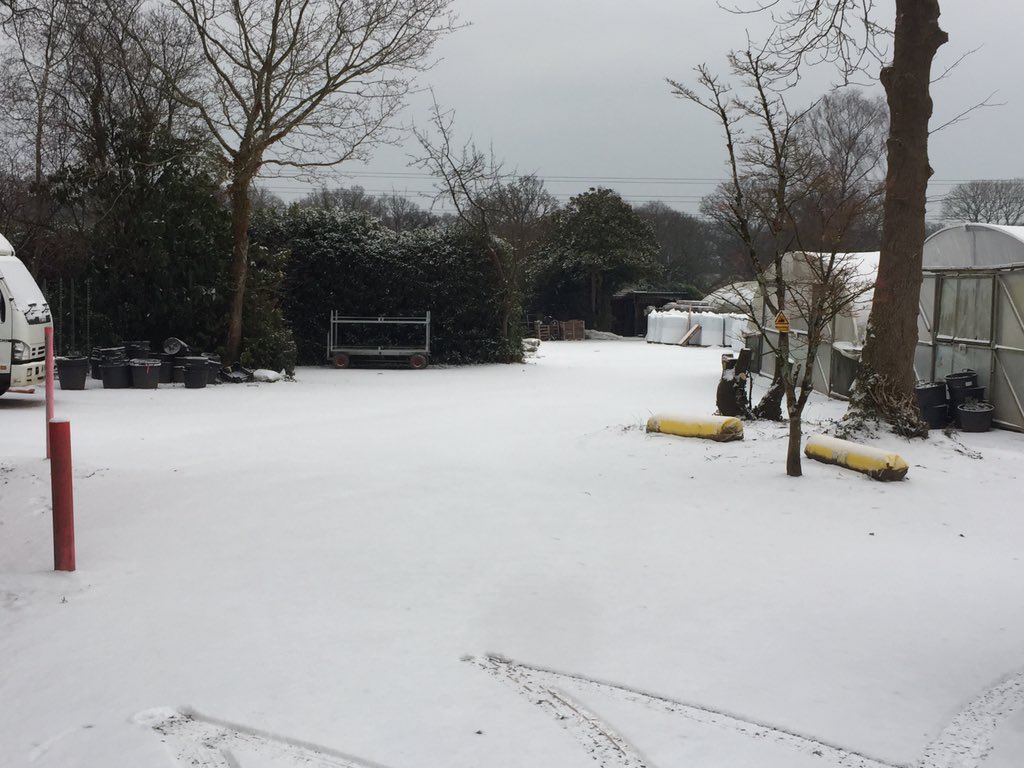 Marchants Nursery tweet media