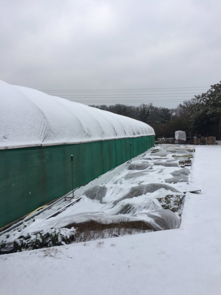 Marchants Nursery tweet media