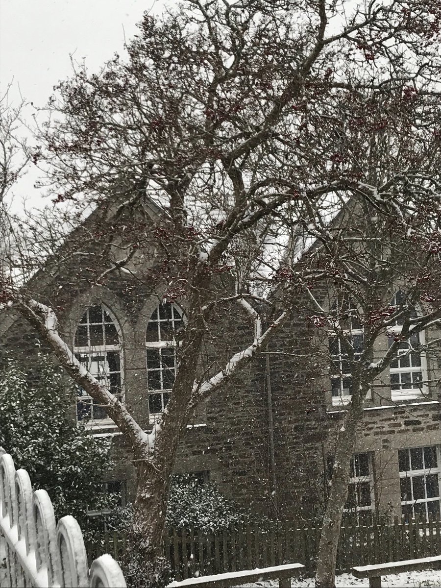 TJSchool5's tweet photo. Snow day! It’s not often we get snow like this in Cornwall @JaneSargent17 @Djsimons1Daniel @TJSchool3 @TJSCornwall https://t.co/GXQQIZKVVV