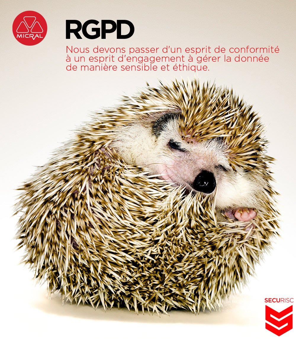 absomod's tweet photo. Ne pas choisir votre conformité #RGPD pour éviter les sanctions Faites le pour qualifier et protéger les #données que vous confient vos clients, vos partenaires, vos employés https://t.co/1bP6KjHFcD