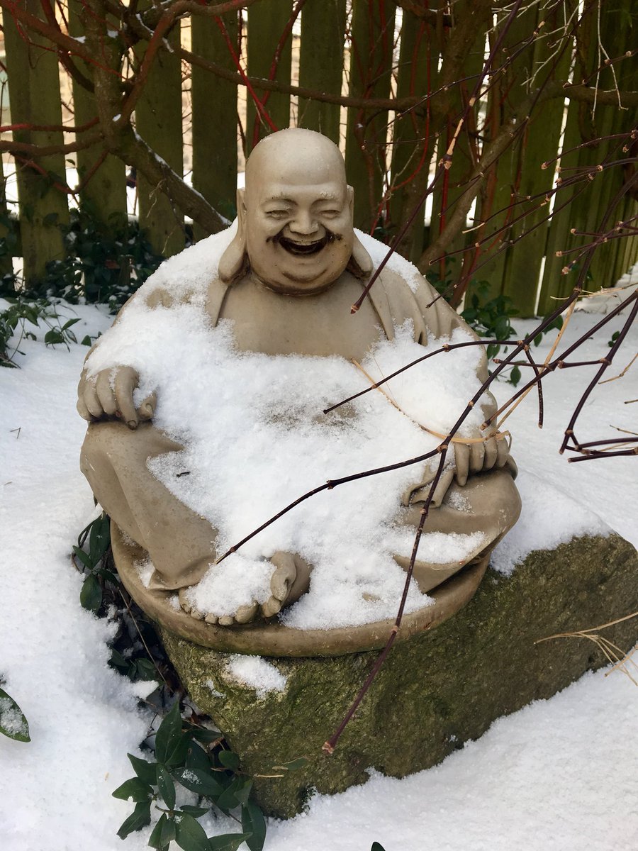 Fionasstalker's tweet photo. Frozen smile #BeastFromTheEast #StillZen #Aberdeen https://t.co/ulCuf2OE7S