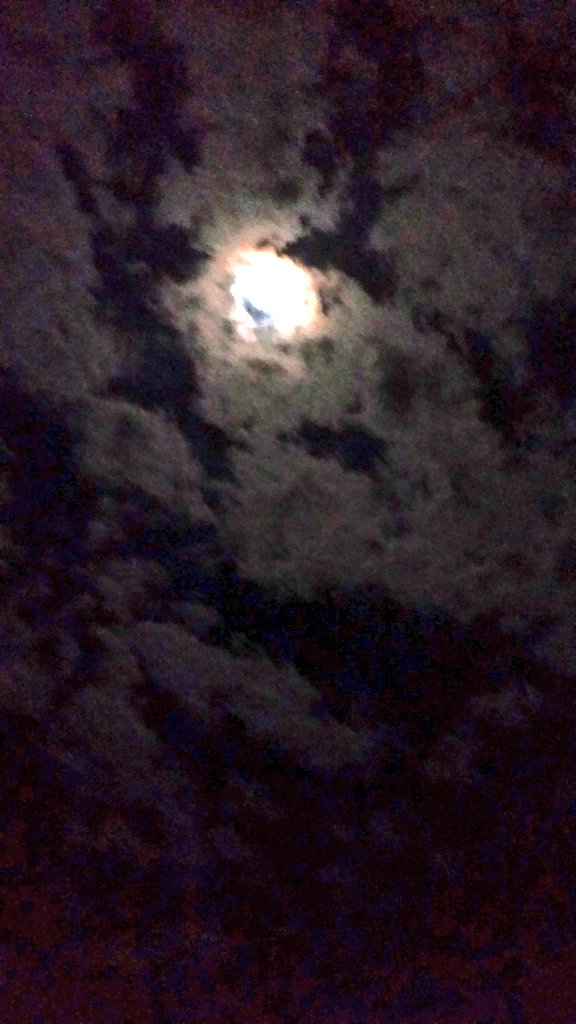 ByersEcologyLab's tweet photo. Full moon fieldwork! We've got some great low tides this week! The perfect time to do fieldwork by the light of the moon. 🌕🌟   Thanks for the pictures @RDanielHarris and @J20Blaze https://t.co/5pHIuVEaLE