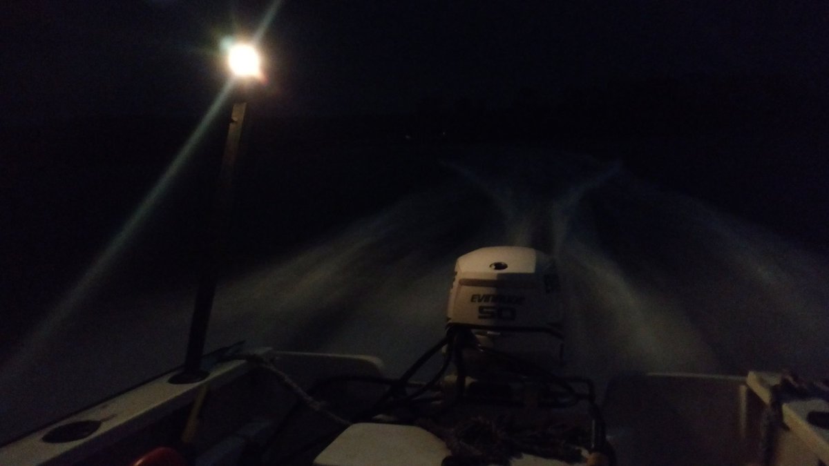ByersEcologyLab's tweet photo. Full moon fieldwork! We've got some great low tides this week! The perfect time to do fieldwork by the light of the moon. 🌕🌟   Thanks for the pictures @RDanielHarris and @J20Blaze https://t.co/5pHIuVEaLE