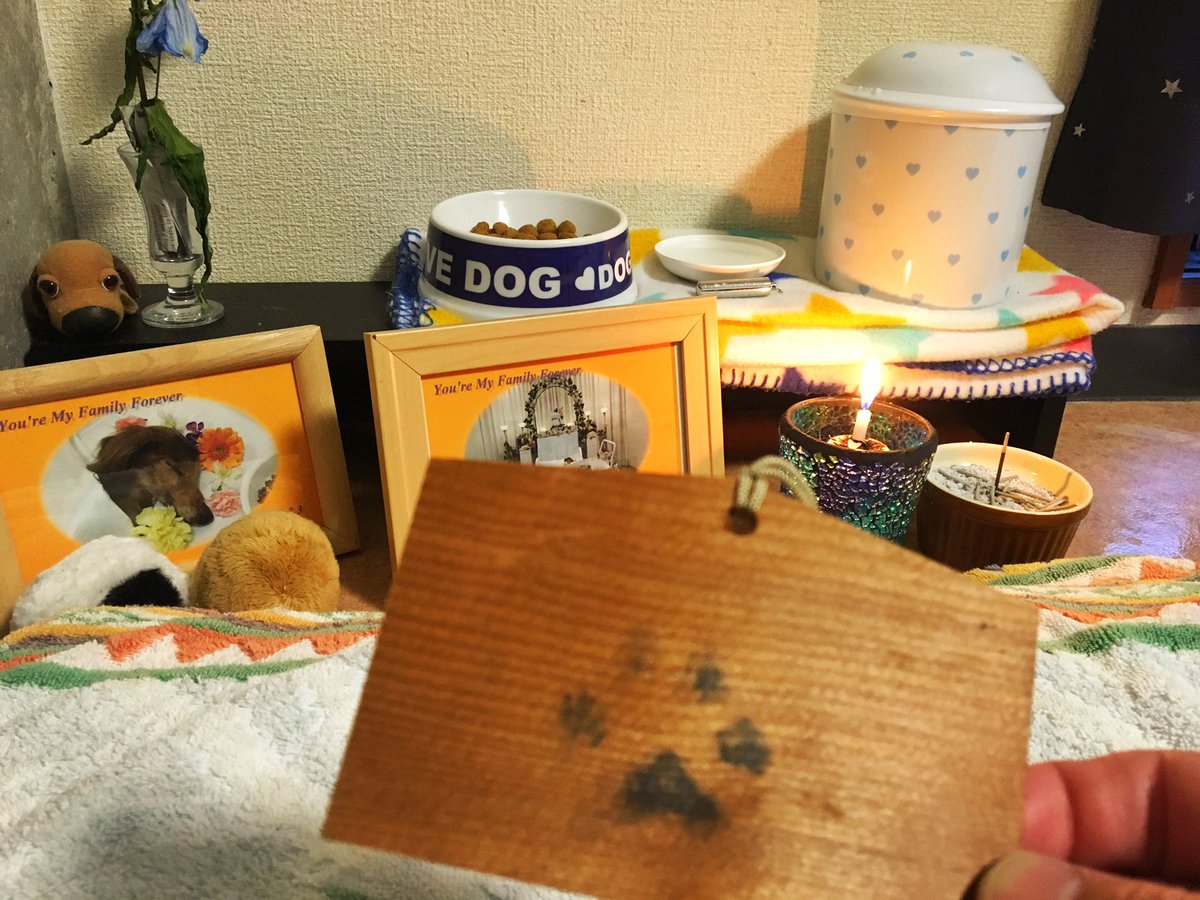 imagination__i's tweet photo. 今日で3回目の命日でした。
春一番が吹いてたいつもの散歩コースで一緒に歩いてきたよ。
こないだから家族になったわんこも一緒だったよ。
12年前の戌年に願い事書いた絵馬もちゃんと残ってるよ。
願いは叶いましたか。最期まで一緒にいれて僕は幸せでした。 https://t.co/rfC4MblMzK