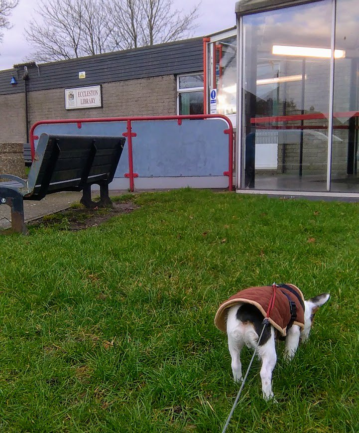 fruitbatwalton's tweet photo. @kathboothroyd @STHLibraries Hmmmm will I get in this time...

#WorldBookDay2018 #DogsInLibraries as opposed to #DogsInSnow

#BeastFromTheEast or #PestFromTheWest https://t.co/CDXLqMGNvy