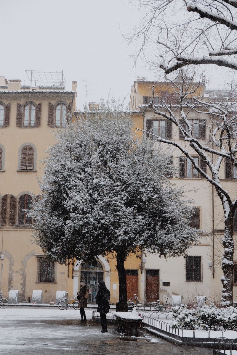 The snow has arrived! This morning, March 1st, in the city of #Florence #Italy. ❄️❄️❄️