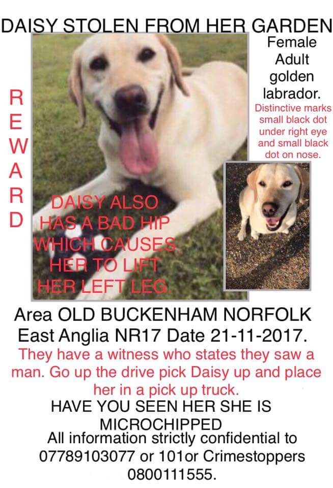 joannew0112's tweet photo. @P_Wicks01 #FindStolenDaisy taken from her elderley owners from outside there house 😔 #norfolk #eastanglia in November we need to help them find her 💔
#checkthatchip
https://t.co/bFFsVrUM9m https://t.co/K4lzGRR3or