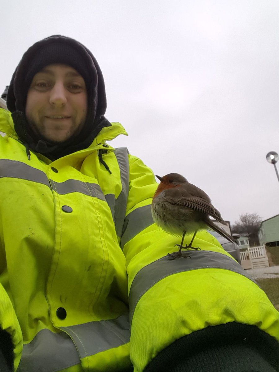 spark_tsl's tweet photo. Our Installations Manager Craig is lending a hand on site today and it looks like he has a little more help from the #Robin! #Cornwall https://t.co/DtVNsN6j2U