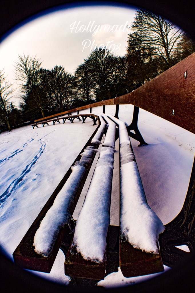 HollyMadeMedia's tweet photo. #winter #winterphotography #photo #photograph https://t.co/hUtFFsOSbL