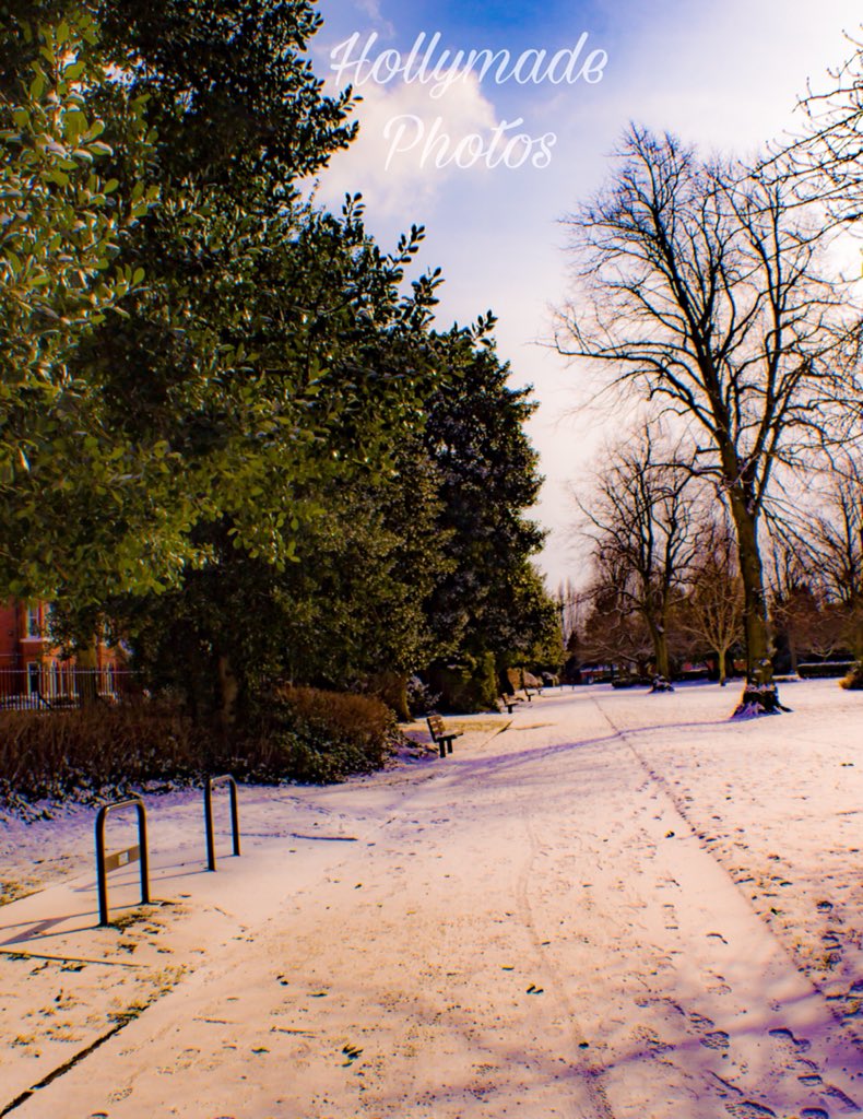HollyMadeMedia's tweet photo. #winter #winterphotography #photo #photograph https://t.co/hUtFFsOSbL
