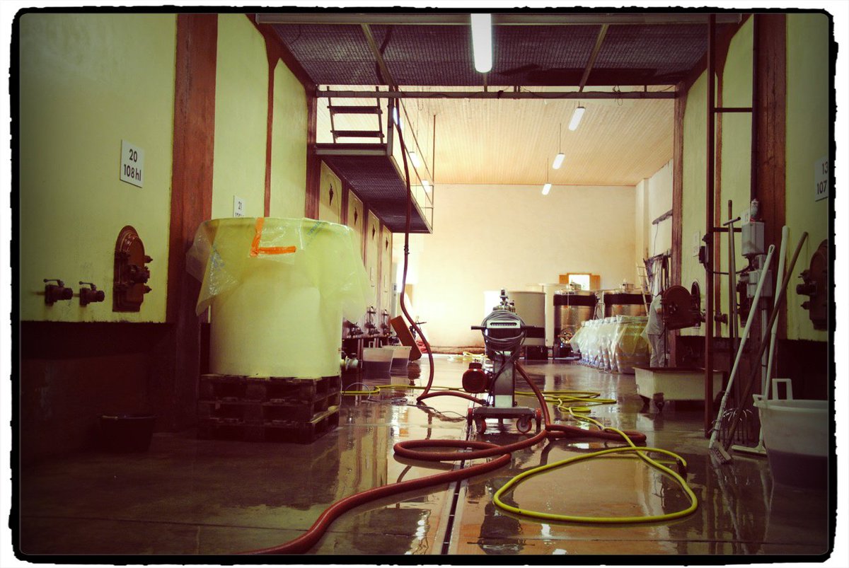 Après la tempête, le calme dans les cuves... Une fois les raisins vendangés, les fermentations achevées et les marcs pressés, le calme revient enfin dans la cuverie. ow.ly/6EYN30iGyqo