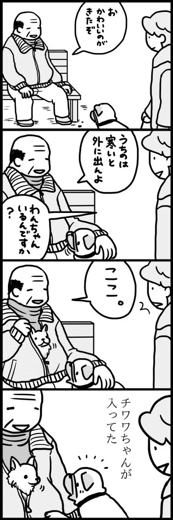 パグにおびえるコーギーちゃんｗｗｗ優しいゴールデンレトリバーくん。みんな大好き♪