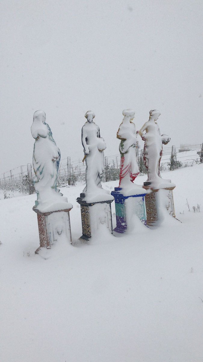 Tenuta Mara tweet media