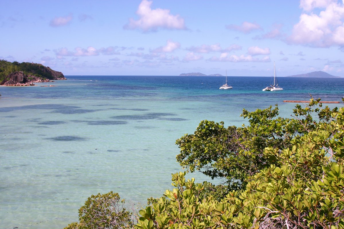 Gilly_Pickup's tweet photo. when better than to recall the sunny #Seychelles? @visitseychelles @naturesey @HiltonHotels#nature #nosnowthere https://t.co/ADE7DN6Tgu