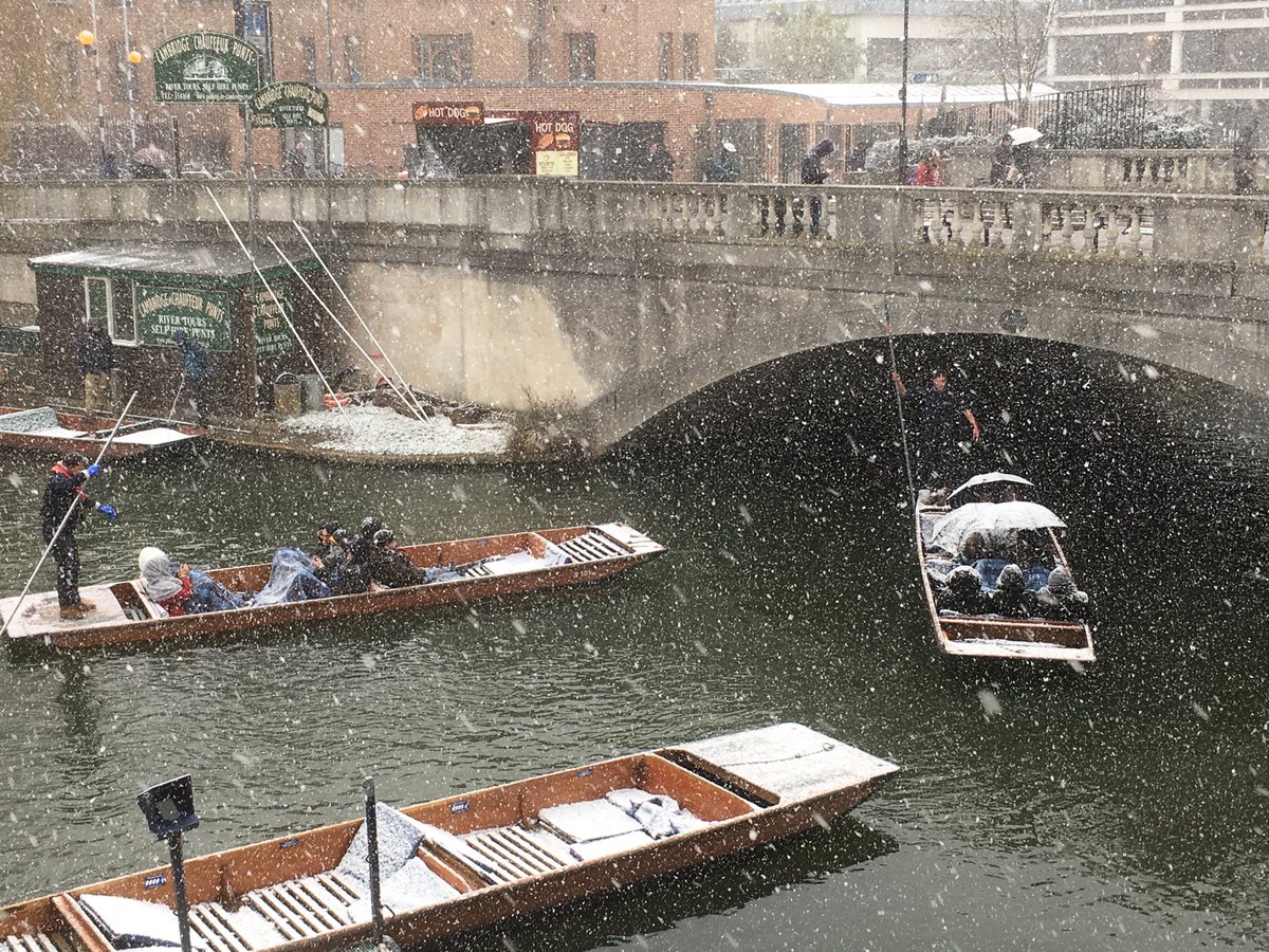 Belinda Brown tweet media