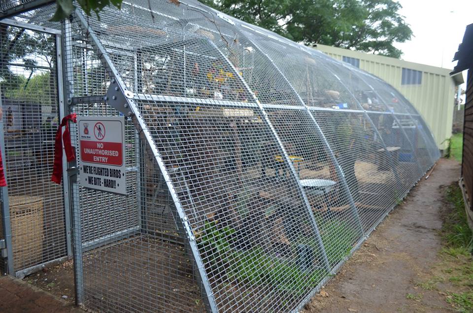 brewbevequip's tweet photo. Brewbev giving back! Built and donated a 16m x 9m aviary for the Brainy Bird Rescue Centre #givingback #engineering #specialised #brewbev https://t.co/PA9FA8D5mz