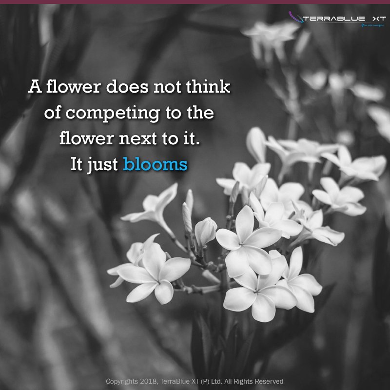 Everyone grows at their own rate. Just because we are doing something different in our own way doesn't mean it's wrong.<3