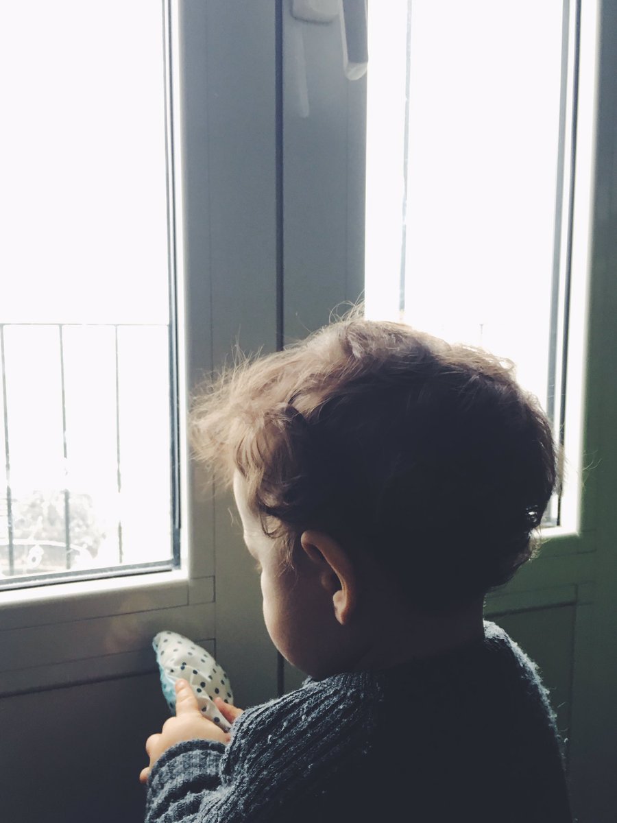 modernbotanics's tweet photo. he's patiently waiting for sparrows to come to our balcony after we left some food out for them ❤️ https://t.co/qLCVnz5Zwa