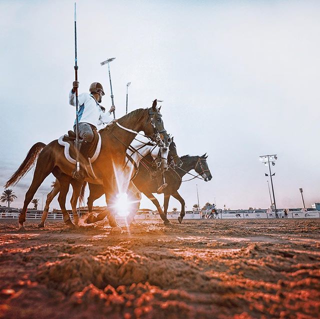 thekbartolo's tweet photo. Eastern Equestrian Championship
#kbartolo #equestrian #champion #horse #iger #sunset #horseriding https://t.co/lc0hlF4Dq3
