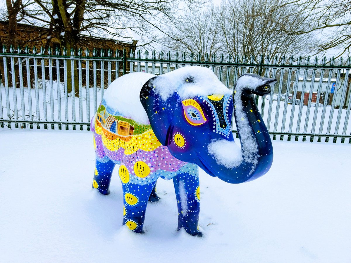 QualityContext's tweet photo. Our @HerdofSheffield elephant looks lovely today outside our very snowy HQ! #Sheffield #snow #elephant @SheffChildrens https://t.co/JGoYgF5IxG