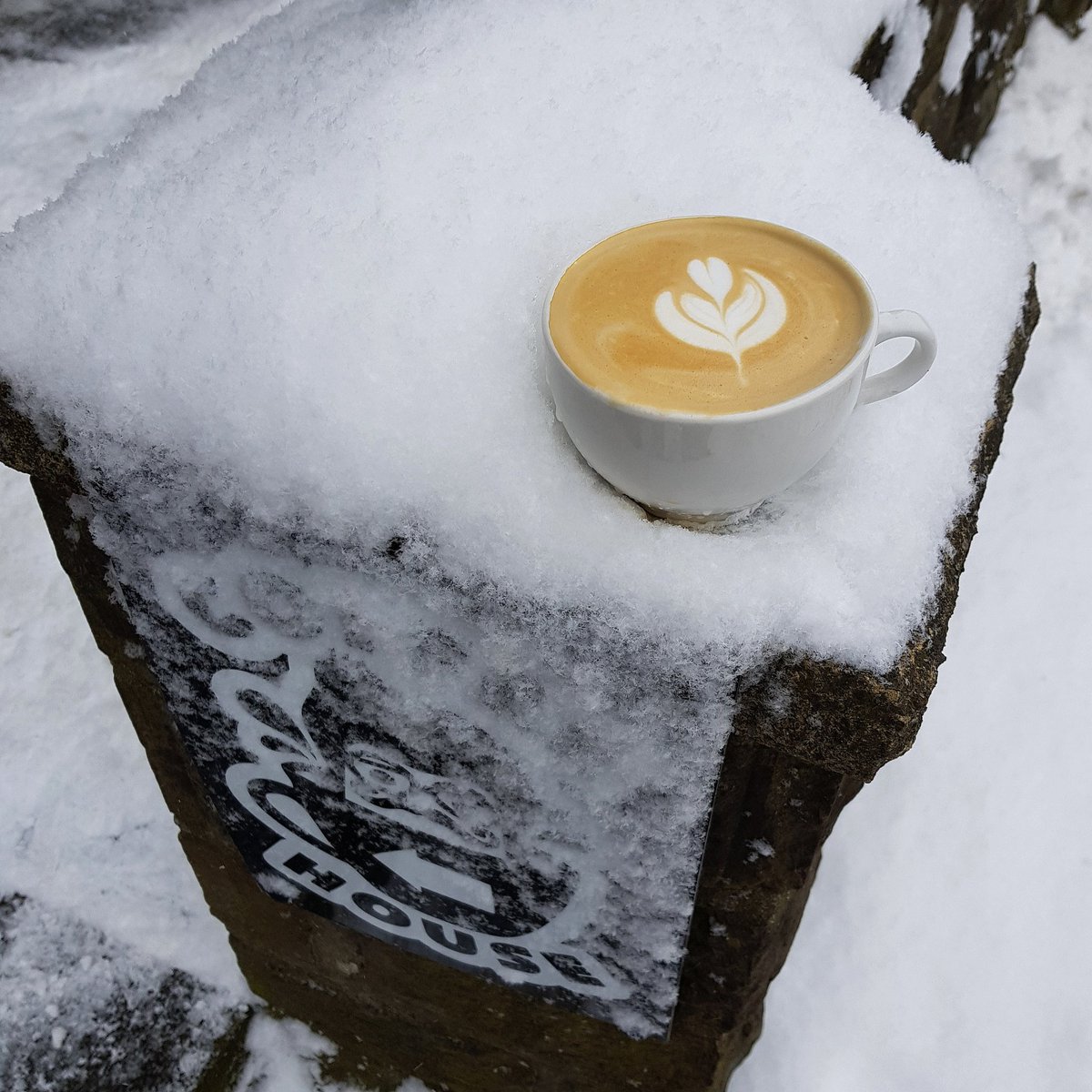 SomewhereElseCoffee tweet media
