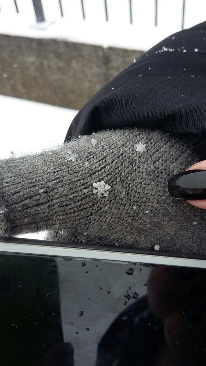 IleniaZilli01's tweet photo. Non avevo mai visto un fiocco di neve integro https://t.co/Xr4xMmnhia