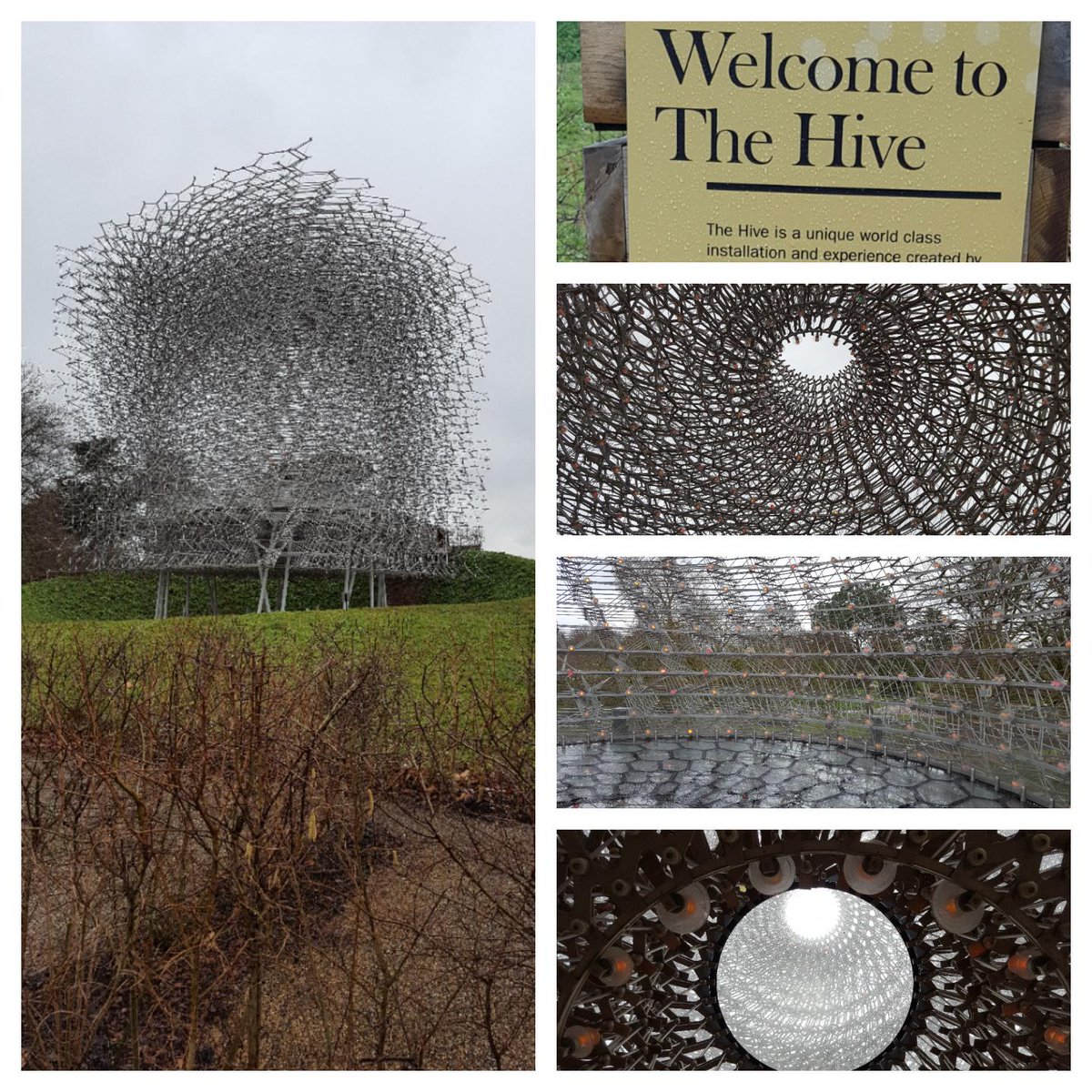 MsLucyIngham's tweet photo. If #AHS was set in London #AHSCult 2:3

@MsSarahPaulson @mrrpmurphy @AHSFX 

Having recovered from the disaster that was date 1, Ivy was relieved that Ally said yes to date 2. What could be better than enjoying the outdoors at the Hive at Kew....Holy Moly!!! https://t.co/jYFl9SMbKU