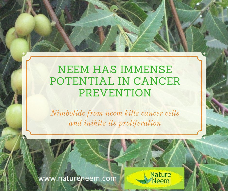 natureneem's tweet photo. Neem can inhibit the proliferation and induces apoptosis of human choriocarcinoma (BeWo) cells.
More information :  https://t.co/IylqMQYqcO https://t.co/UekDVm1RbT