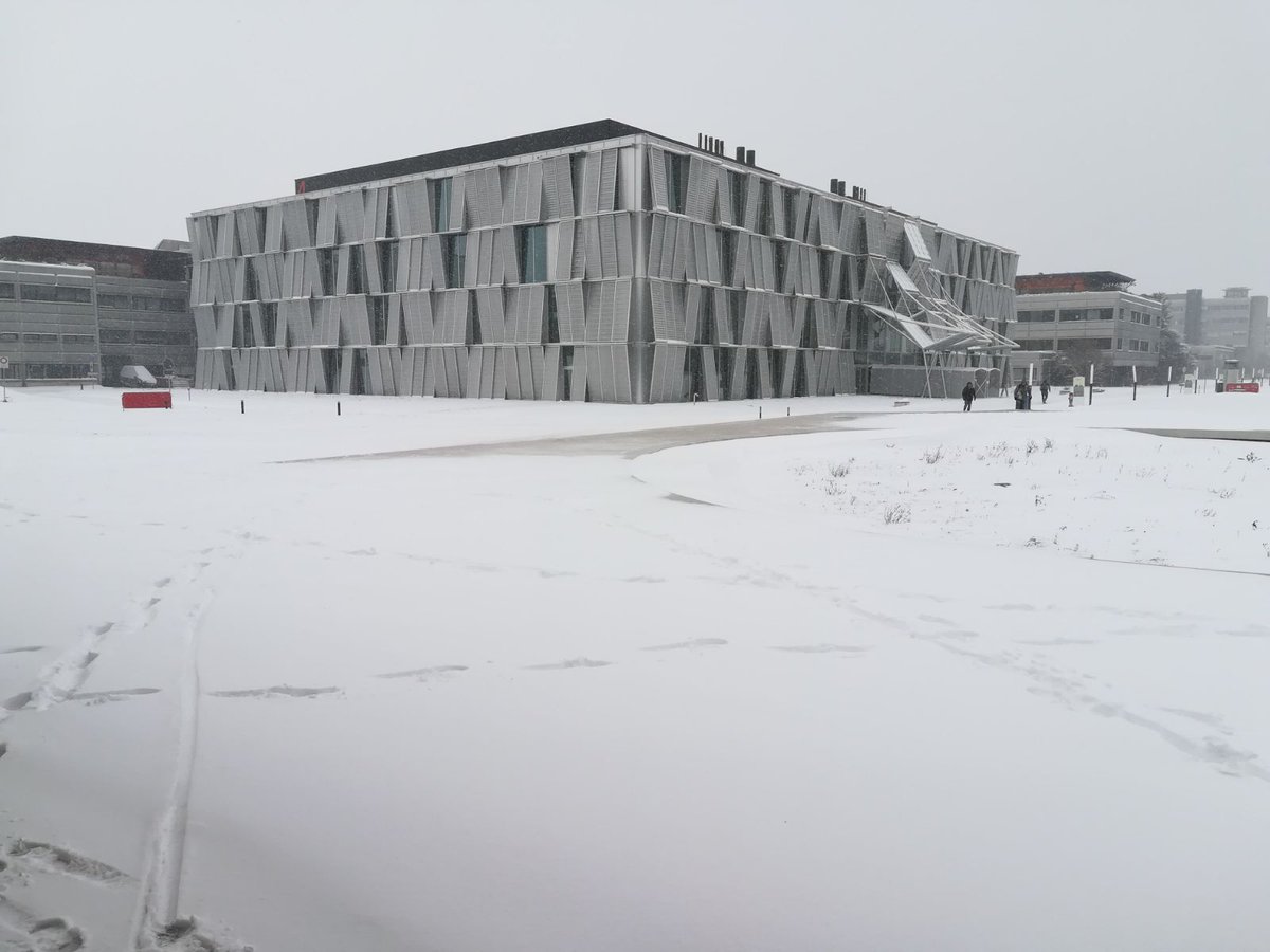EPFL's tweet image. Jour blanc! #EPFLSnow #EPFLCampus