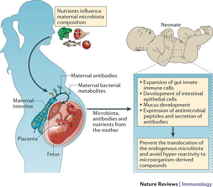 Nature Rev Immunol on Twitter "What to find out more