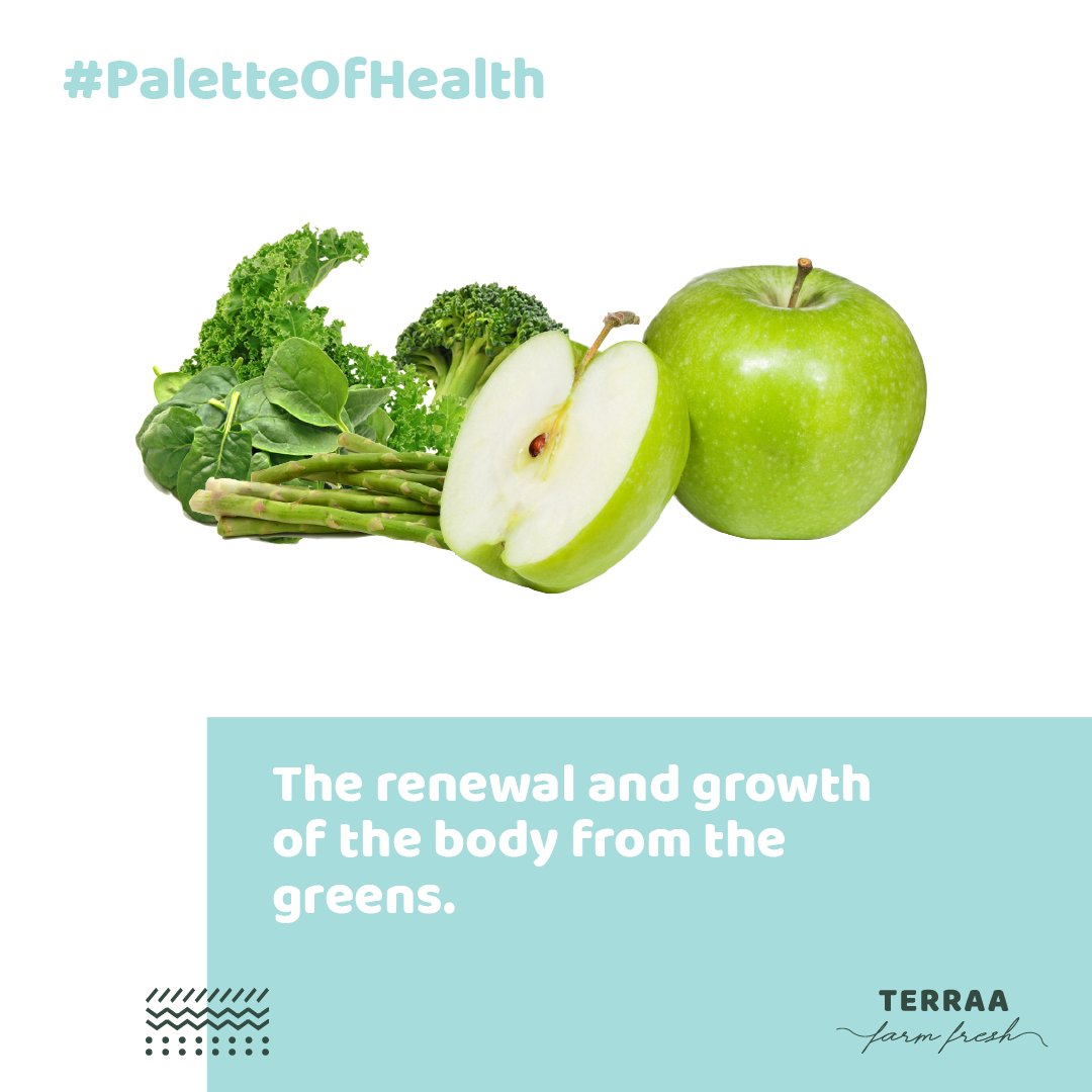 helloTerraa's tweet photo. Every color has a story to tell. Green has its own healthy one. #PaletteOfHealth https://t.co/6NIgEwvi6E