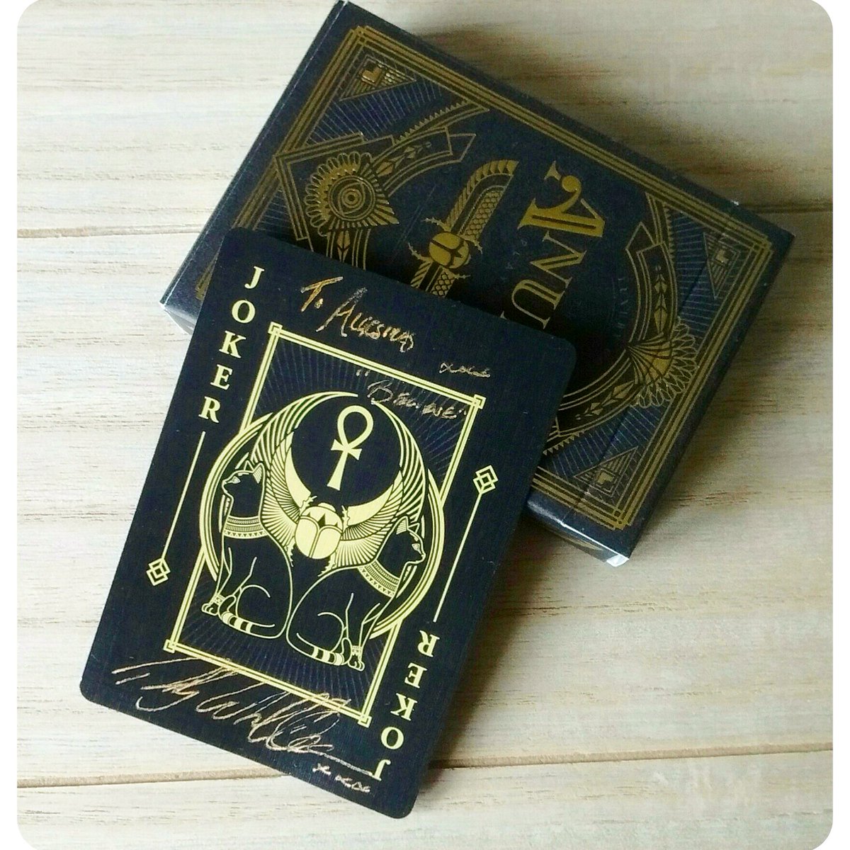 damalisca's tweet photo. My Anubis card by @steve_minty signed by @MrRickyWhittle (aka Shadow Moon) at Red Dragon Con in London. He also wrote "believe" 😎. #AmericanGods #RDC4 #deck #cards https://t.co/2a6rxgyPz2